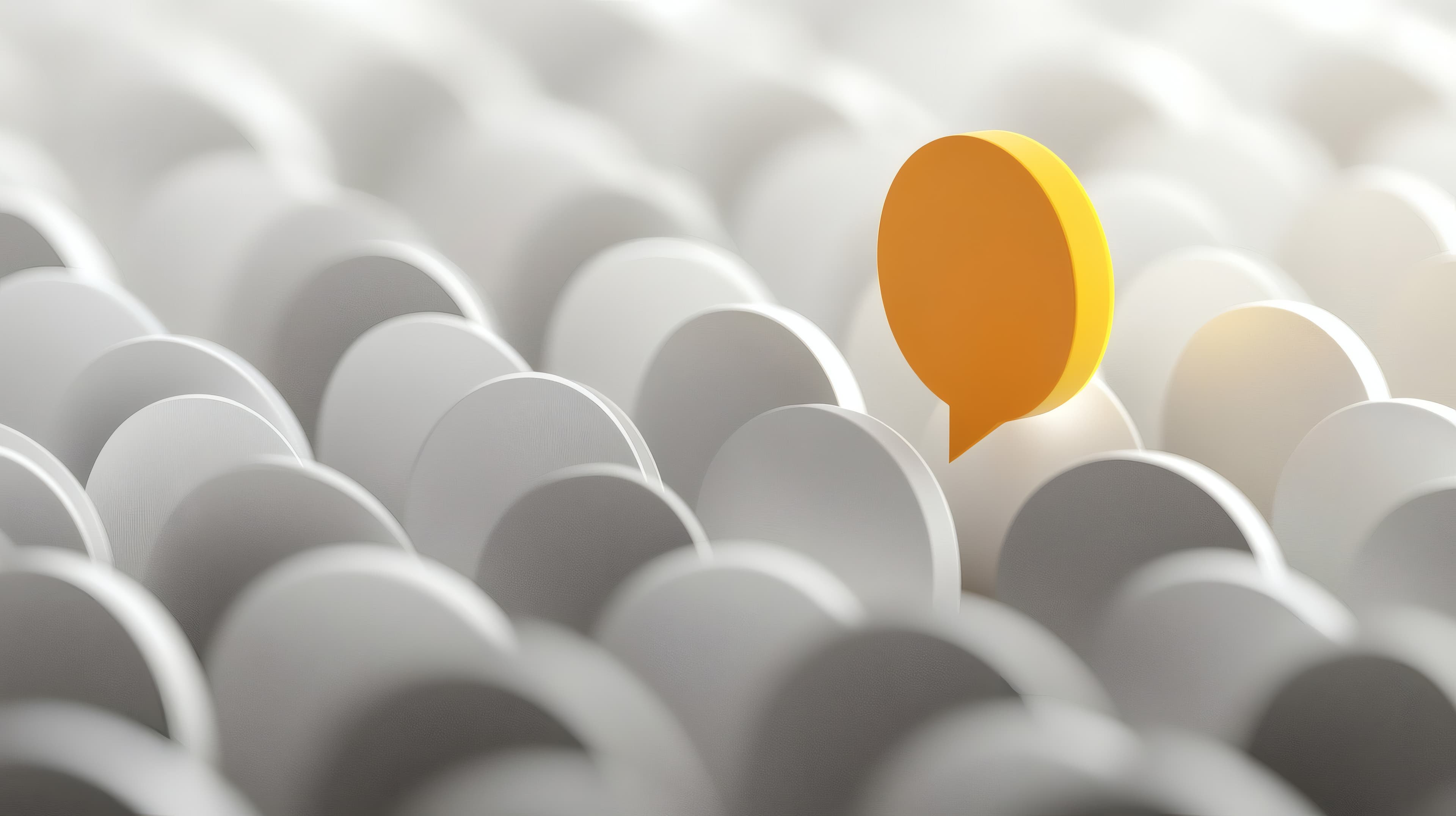 Die eine Stimme aus der Masse - Markendifferenzierung in Gießen