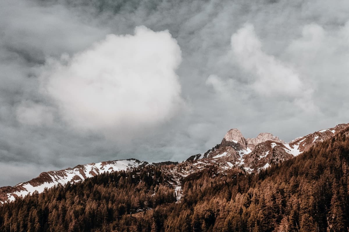 Berglandschaft mit Wald - Perspektive und Klarheit fuer Arbeitgebermarken